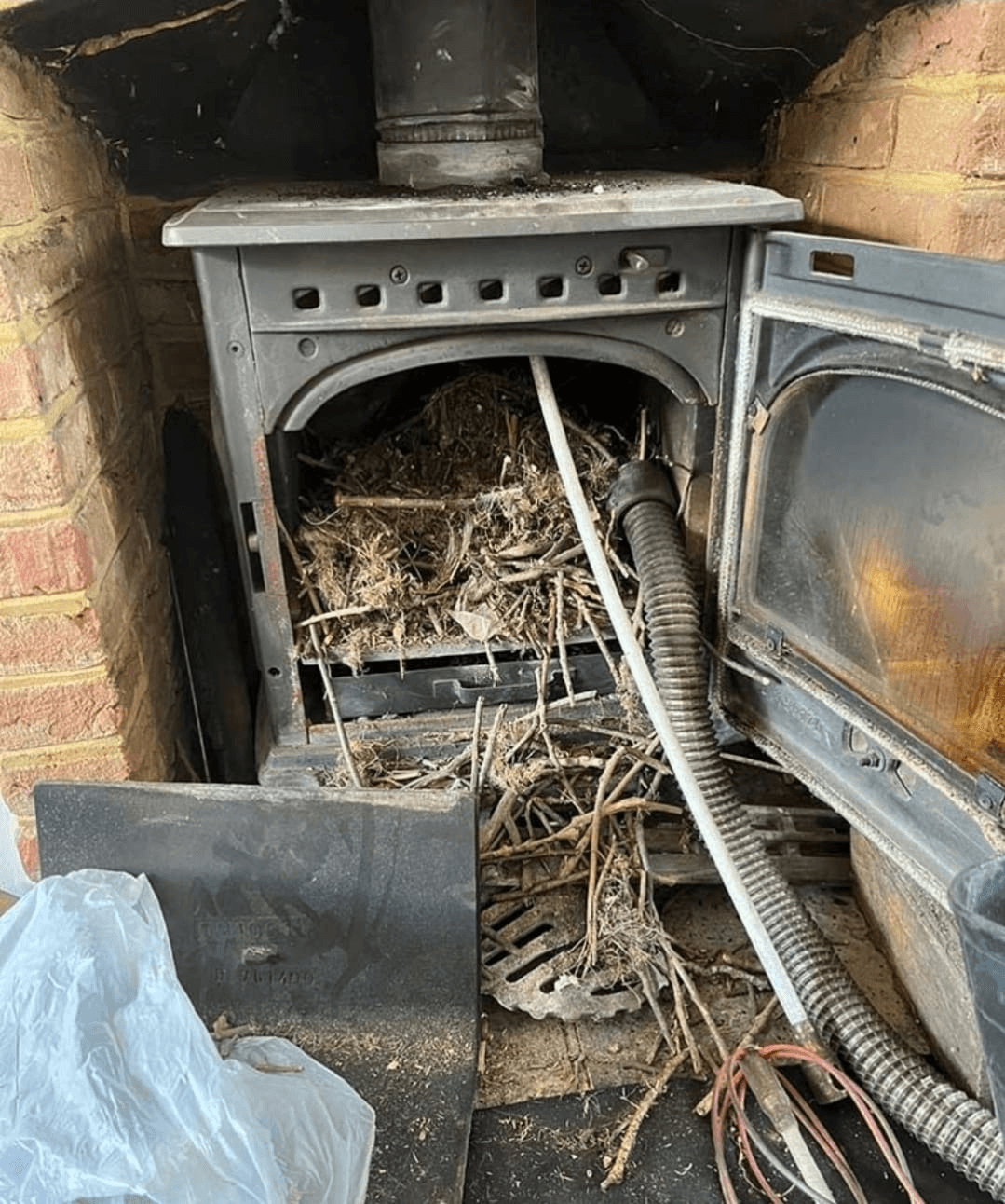 A large bird's nest cleared out of a wood burner's firebox, with a sweep's vacuum hose alongside.